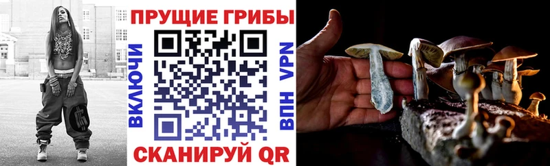 Купить  Кстово  Псилоцибиновые грибы MAGIC MUSHROOMS 